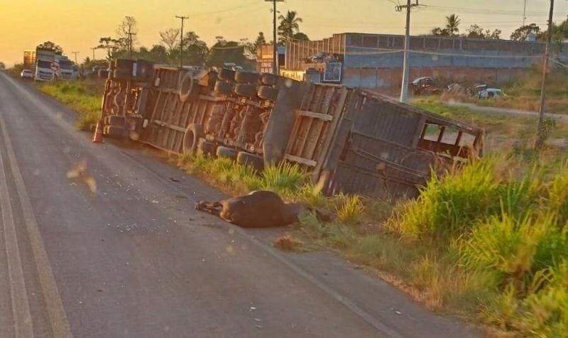 Caminhão boiadeiro tombou na BR-364 durante a madrugada, em Cacoal