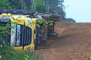 Caminhão que vinha de Porto Velho tomba e gados morrem em estrada