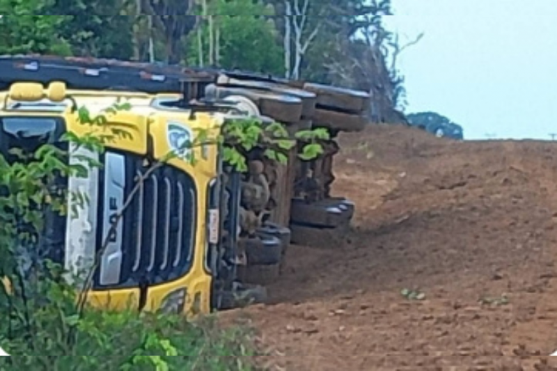 Caminhão que vinha de Porto Velho tomba e gados morrem em estrada