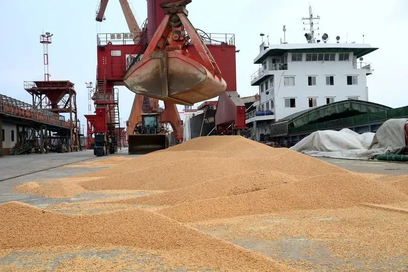 Importação de soja da China cresce 1,1% entre janeiro e agosto